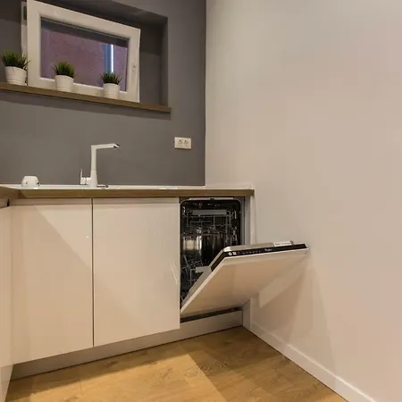 Exclusive Center With Garden Apartment Rovinj